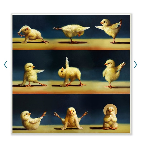 Meet your Posher, Fitbirdie - Picture 2 of 4